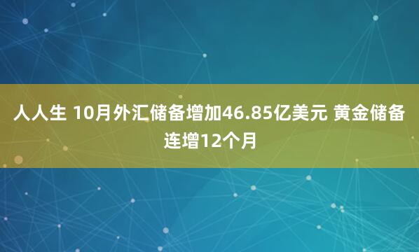 人人生 10月外汇储备增加46.85亿美元 黄金储备连增12个月