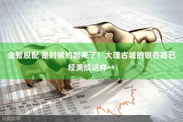 金智股配 是时候约起来了！大理古城的银杏路已经美成这样→