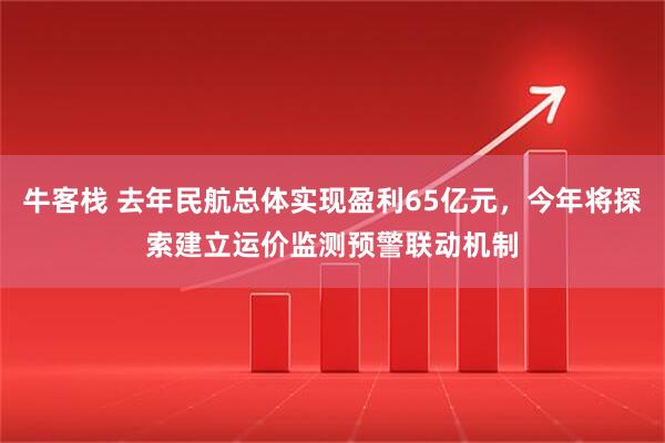 牛客栈 去年民航总体实现盈利65亿元，今年将探索建立运价监测预警联动机制