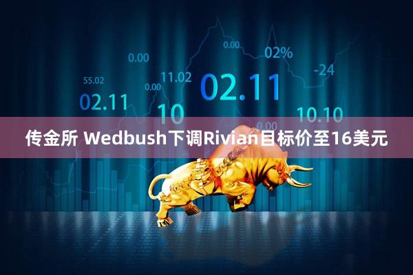 传金所 Wedbush下调Rivian目标价至16美元